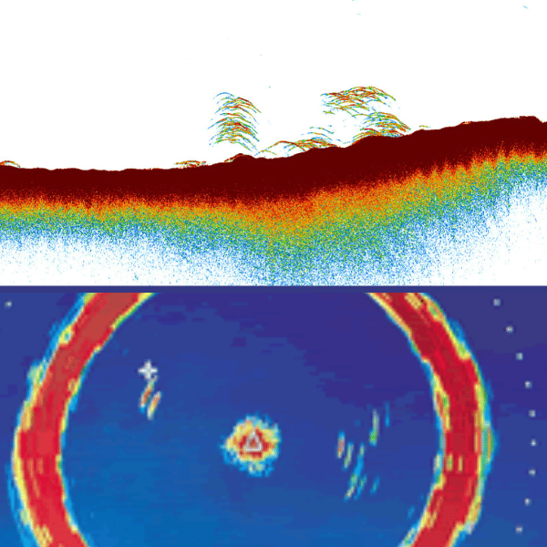 diferencia sonda sonar