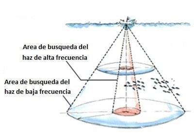 Haz del transductor